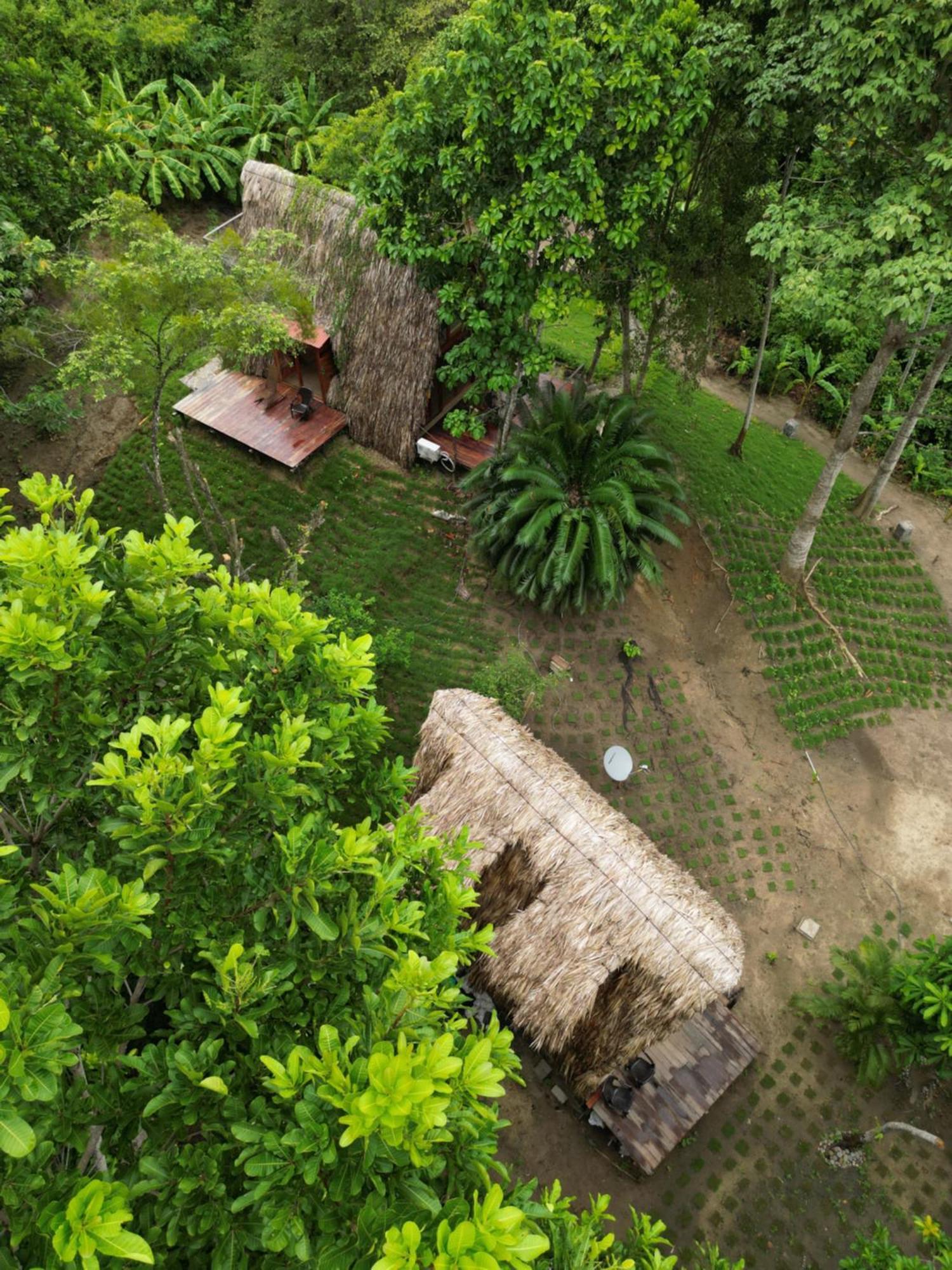 Tiny Houses Unique Tayrona - Dentro Del Parque Tayrona El Zaino Exterior photo