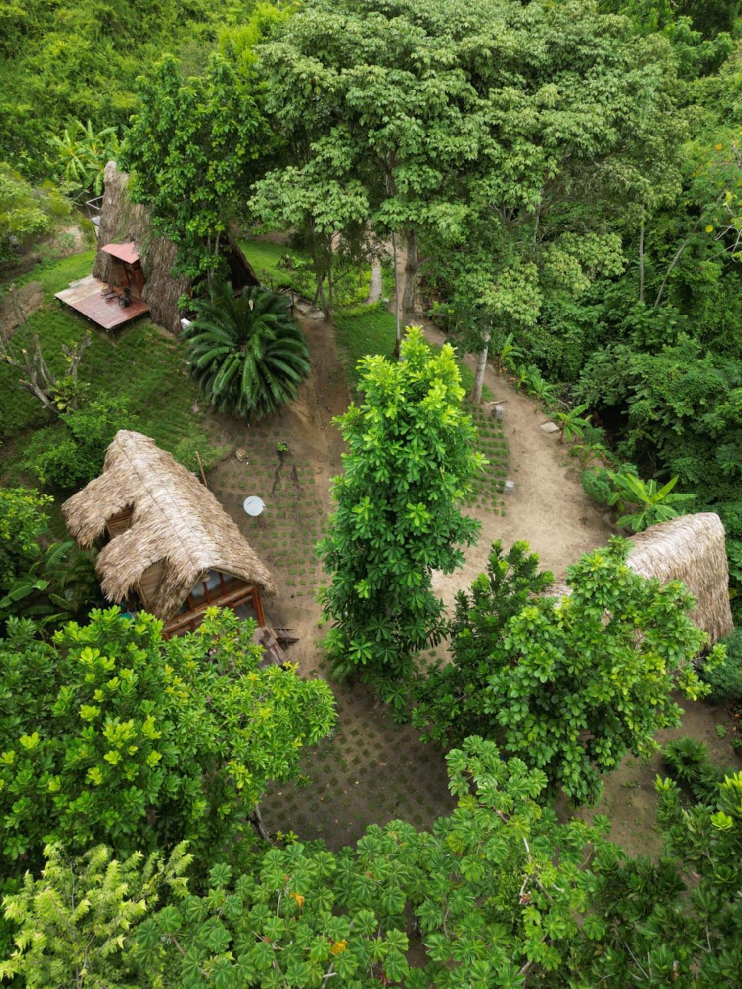 Tiny Houses Unique Tayrona - Dentro Del Parque Tayrona El Zaino Exterior photo