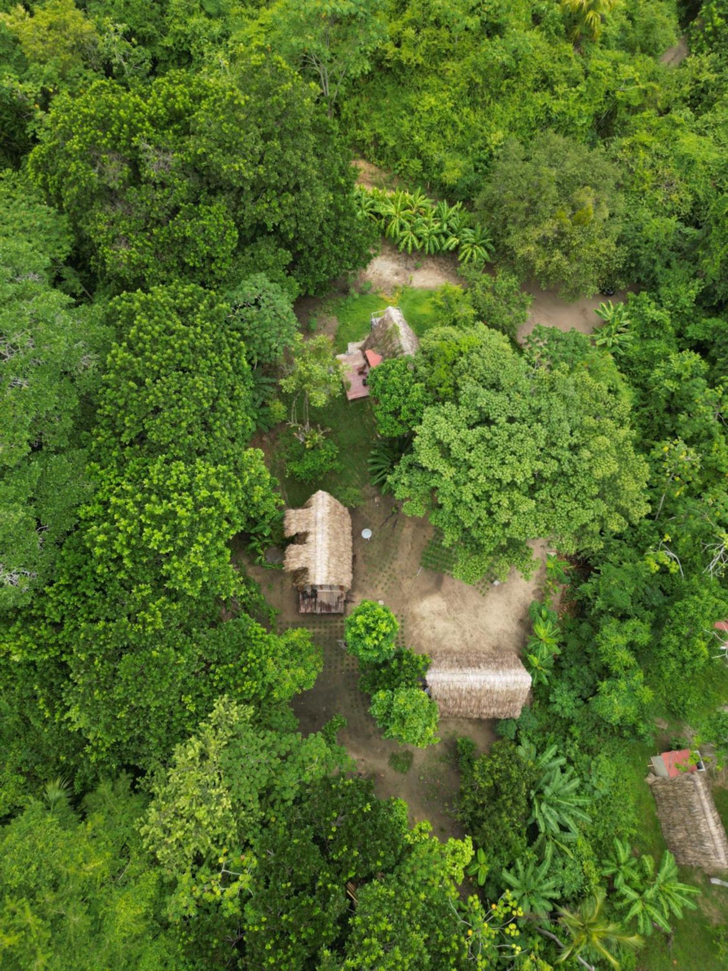 Tiny Houses Unique Tayrona - Dentro Del Parque Tayrona El Zaino Exterior photo