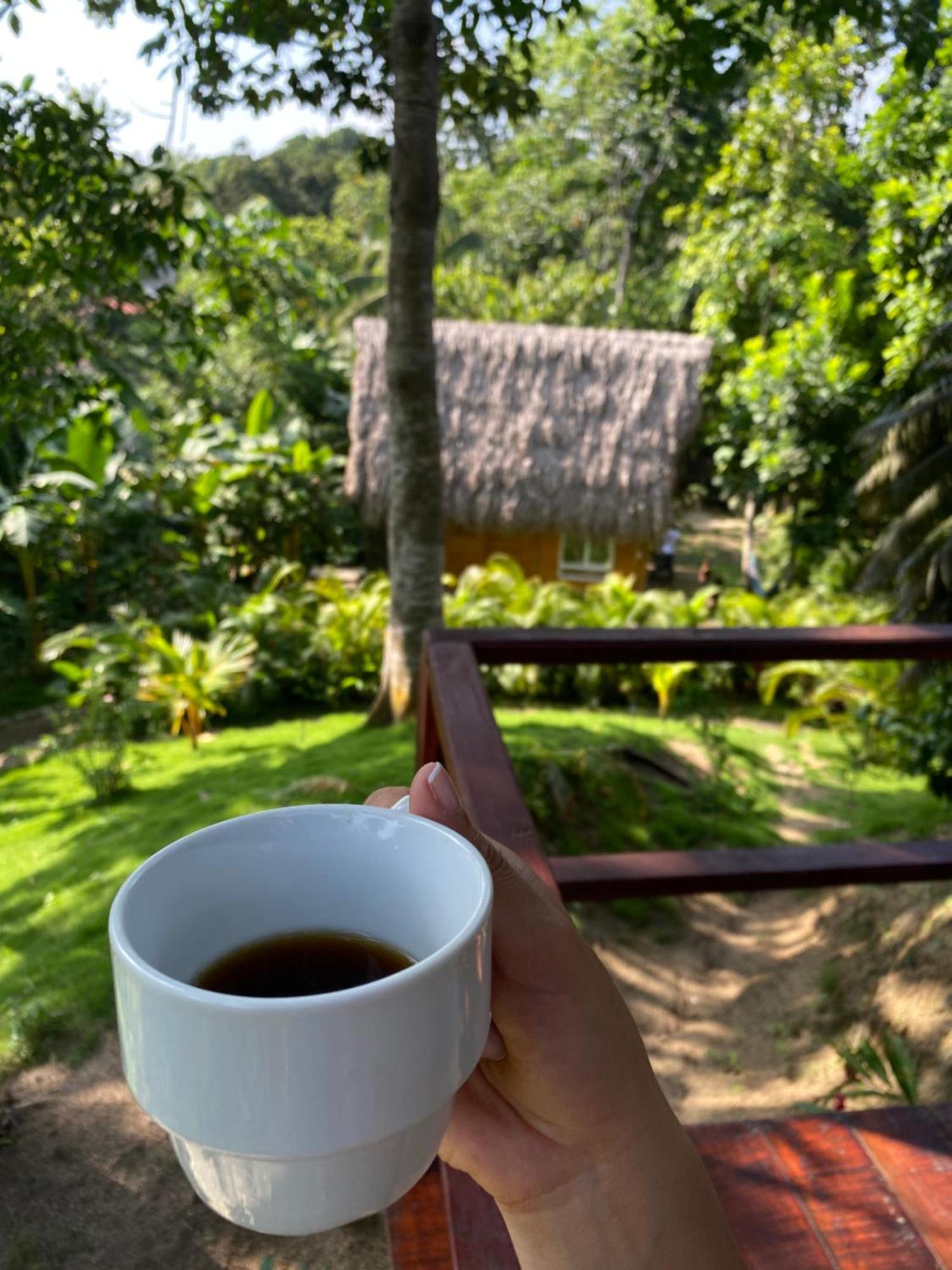 Tiny Houses Unique Tayrona - Dentro Del Parque Tayrona El Zaino Exterior photo