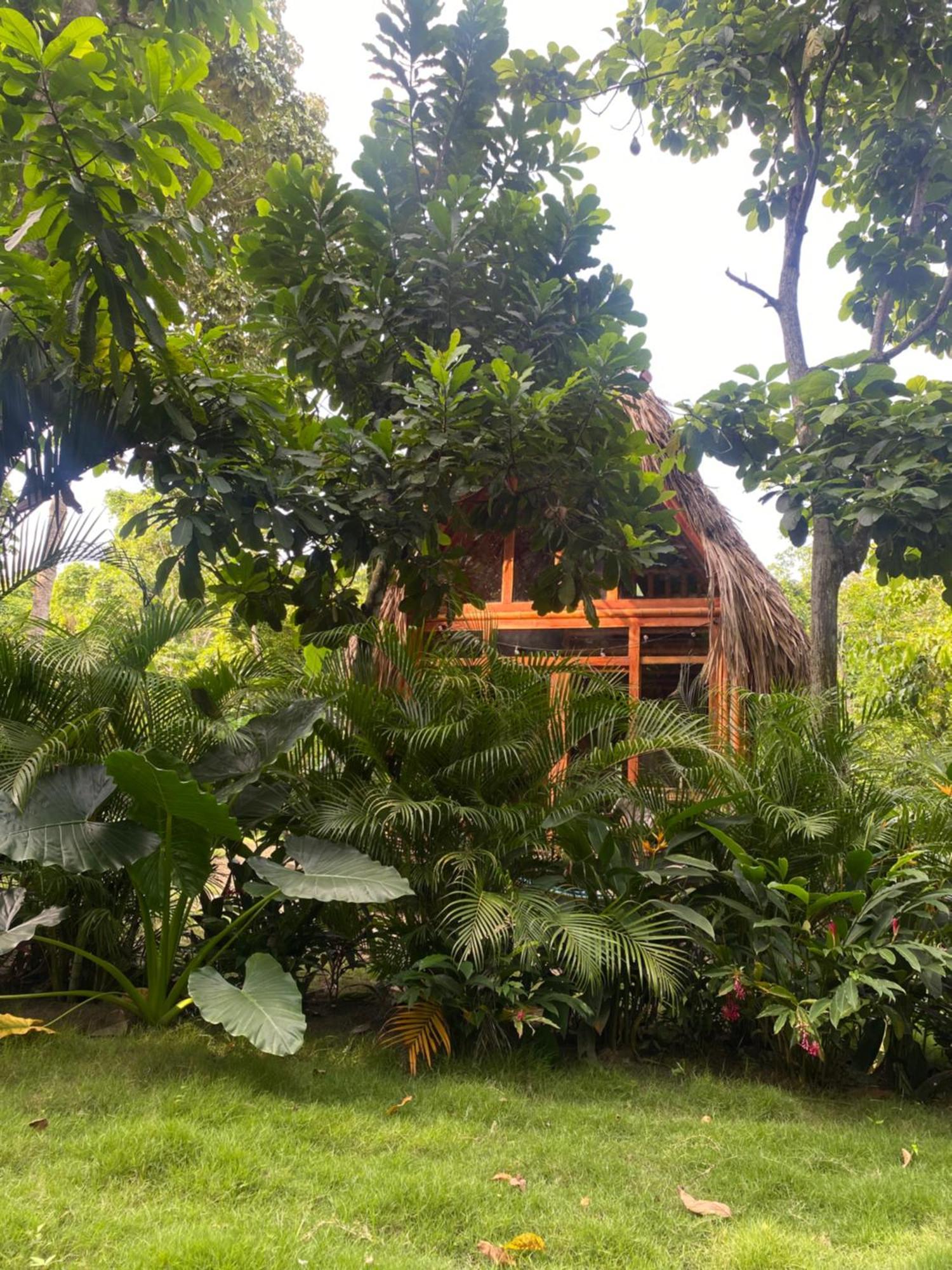 Tiny Houses Unique Tayrona - Dentro Del Parque Tayrona El Zaino Exterior photo